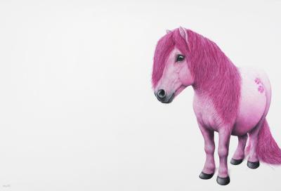 Marcel Witte - Little pony