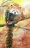 Gerard Hendriks - kleine panda