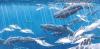Jeroen Verhoeff - long finned pilot whales meet common dolphins